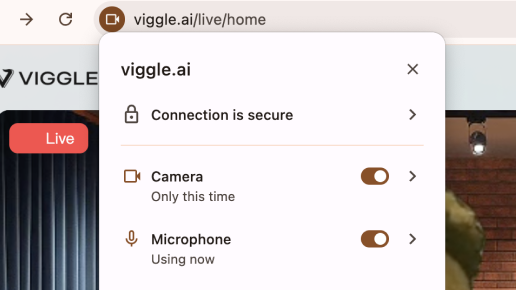 Allow camera and mic use and start